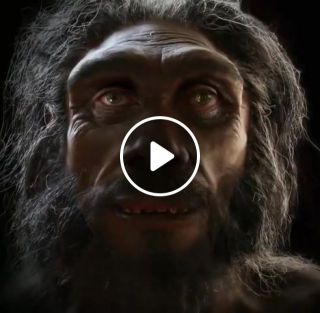 Evolution sapiens evolution of music evolution of music pentatonix