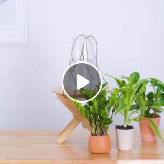 Plant watering trick