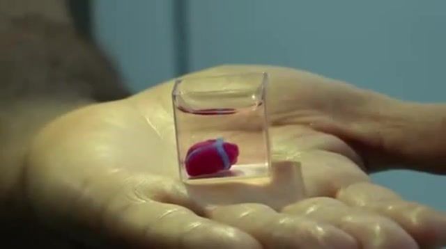 The first 3d printed heart from human cells, heart, 3d printing, blood, blood vessels, human cell, groundbreaking, human blood, human heart, dna, technology, science technology.