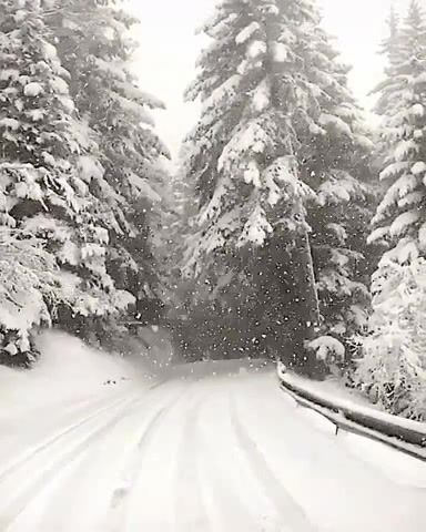Let it snow, snow, music, nature travel.