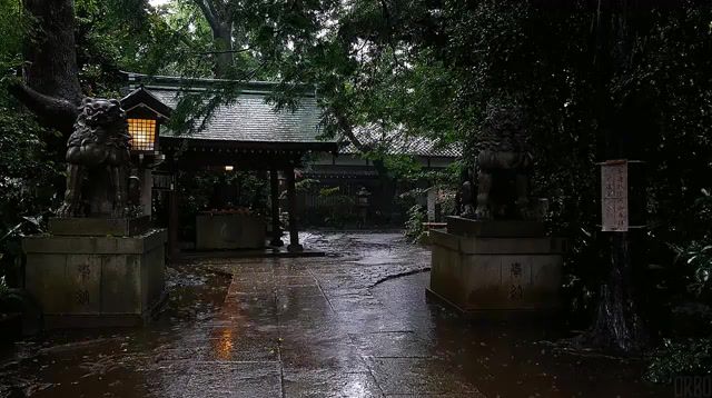 Okusawa, a member of the Susume r line, Okusawa, Tokyo, Cinemagraphy, Reddit, Summer, Rain, Ghost In The Shell, Nightstalker, Soothing, Calm, Japan, Zen, Live Pictures