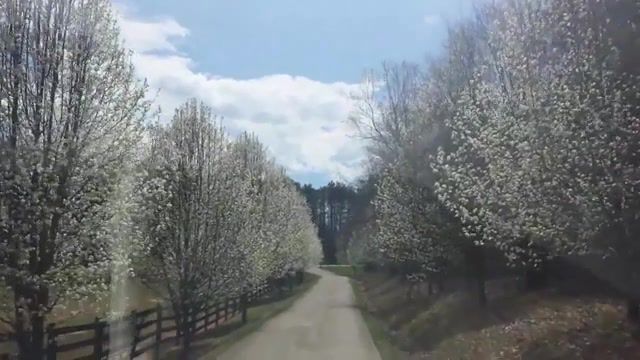 Spring in Georgia Vivaldi - Video & GIFs | four seasons,vivaldi,spring,nature travel