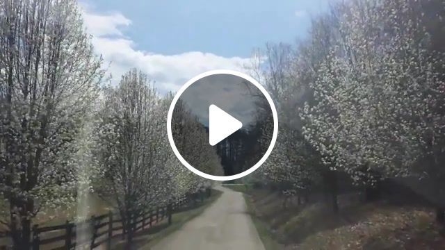 Spring in georgia vivaldi, four seasons, vivaldi, spring, nature travel. #0