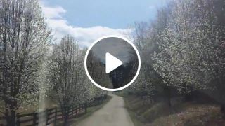 Spring in Georgia Vivaldi