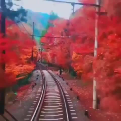 Leaving Kioto, Trains, Japan, Kenji Kawai, Ghost In The Shell, Kioto, Nature Travel