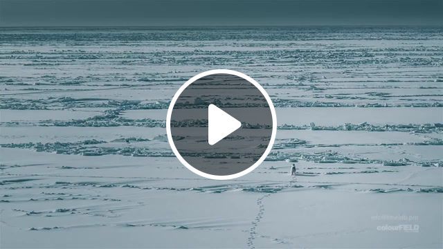 Nuclear icebreaker, russia, arctic, ice, drone, copter, nuclear, icebreaker. #0