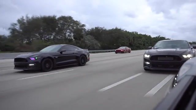 TWO BLACK HORSES, Mustangs, Mustang Gt, Mustang Cruise, Reckless Driving, Mustang, Ford, 5 0 Coyote, Rolling Shot, Palm Beach, Cars And Coffee, Florida, South Florida, Super Cars, Cruise, Cars, Automotive, Vlogger, Car Vlog, Loud Exhaust, Mustang Take Over, Cops, Fast Driving, Thatguymarin, Cruising, Car Friends, Cc Pullouts, Car Show, West Palm Beach, Crazy, Crew, Real Life Forza, Fast, Dangerous, Mustangs Take Over Highway, Auto Technique
