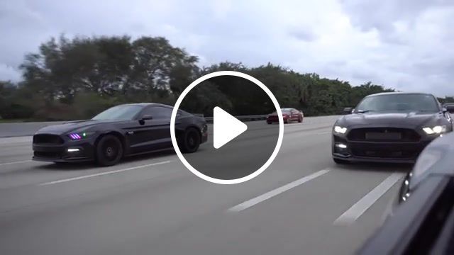 Two black horses, mustangs, mustang gt, mustang cruise, reckless driving, mustang, ford, 5 0 coyote, rolling shot, palm beach, cars and coffee, florida, south florida, super cars, cruise, cars, automotive, vlogger, car vlog, loud exhaust, mustang take over, cops, fast driving, thatguymarin, cruising, car friends, cc pullouts, car show, west palm beach, crazy, crew, real life forza, fast, dangerous, mustangs take over highway, auto technique. #0