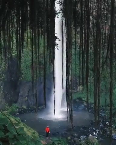 Waterfall, Waterfall, Water, Beautifully, Beauty, Nature And Travel, Nature, Travel, Jungle, Nature Travel
