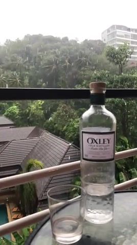 Just rain, oil, on elephants, in, thailand, tropic, gin, music, nature travel.