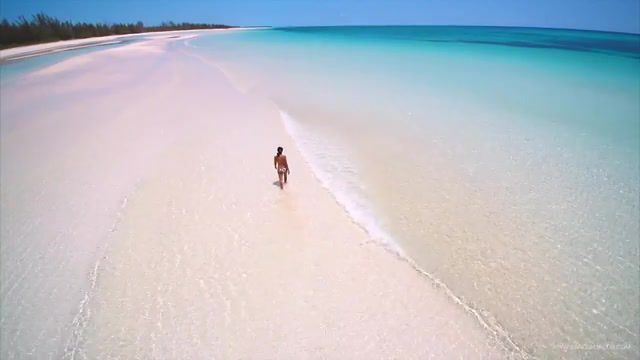 Perfect beach, grand bahama, bahamas, beach, ocean, nature, drone, perfection, explore, nature travel.