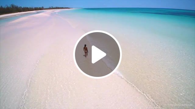 Perfect beach, grand bahama, bahamas, beach, ocean, nature, drone, perfection, explore, nature travel. #0