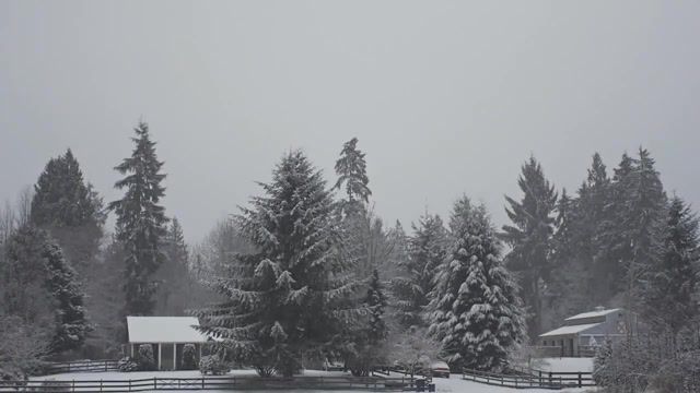 Silence, planet earth, cinemagraph, cinemagraphs, winter, snow, live pictures.