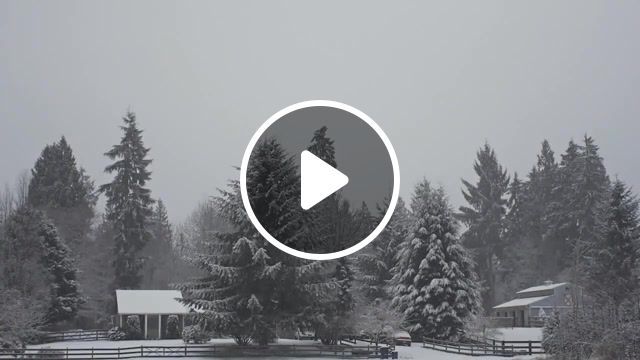 Silence, planet earth, cinemagraph, cinemagraphs, winter, snow, live pictures. #0
