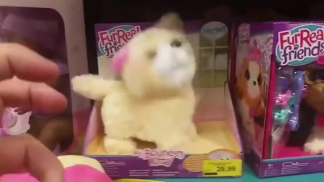 Cute kitty toy, Science Technology