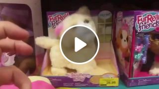Cute kitty toy