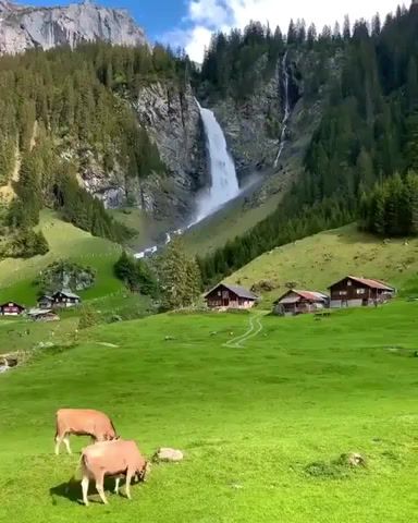 Morning from Switzerland, Nature, Travel, Switzerland, Waterfall, Animals, Nature Travel