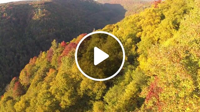 Olorful world, canaan valley, west virginia, sunrises, sunset, drone, forest, nature, colorful, nature travel. #1