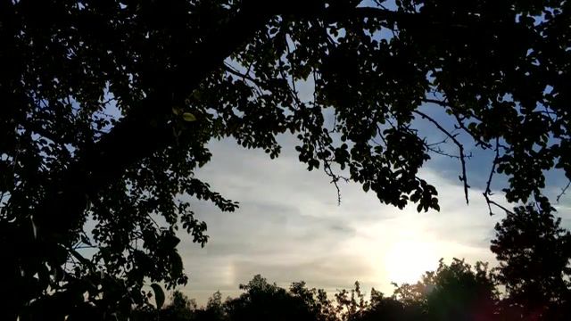 Today's sunset 02. 06, sunset, morning, tree, sun, time lapse, timelapse, nature travel.