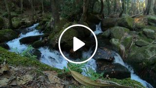 GoPro 7 Black 4k Valinhas Natural Park relaxing sound