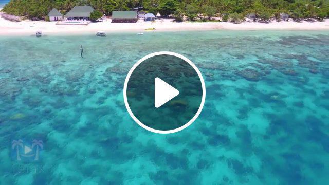 Paradise, harmony, peace, anxiety relief, stress relief, natural, hollistic, brain training, healing nature, meditation aid, high definition, nature, paradise, perfection, music tropical, timelapse 4k, 4k 60fps, depression, hawaii, fiji, tahiti, bora bora, most beautiful beach, most beautiful nature, amazing places planet, aerial 4k, drone 4k, dji inspire1, zenmuse x5 footage, x5 olympus 12mm, palm tree sun, drone, gopro mavic, game over, i allow it, community, allow, allow it, reaction, random reactions, uhhh, what a twist, blue lagoon, nature travel. #0