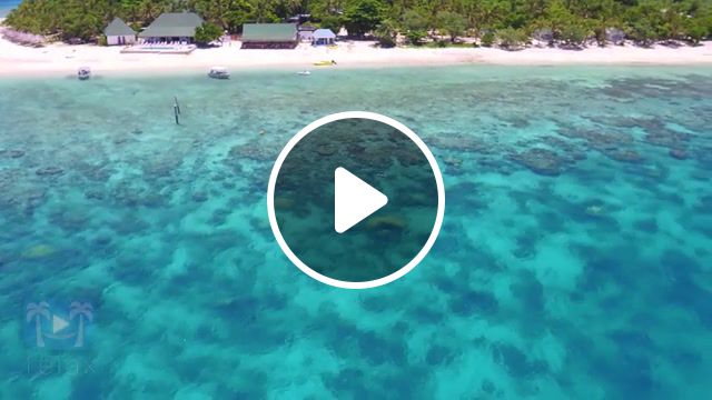 Paradise, harmony, peace, anxiety relief, stress relief, natural, hollistic, brain training, healing nature, meditation aid, high definition, nature, paradise, perfection, music tropical, timelapse 4k, 4k 60fps, depression, hawaii, fiji, tahiti, bora bora, most beautiful beach, most beautiful nature, amazing places planet, aerial 4k, drone 4k, dji inspire1, zenmuse x5 footage, x5 olympus 12mm, palm tree sun, drone, gopro mavic, game over, i allow it, community, allow, allow it, reaction, random reactions, uhhh, what a twist, blue lagoon, nature travel. #1