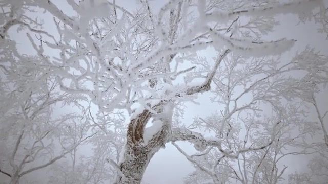Snow - Video & GIFs | nature travel