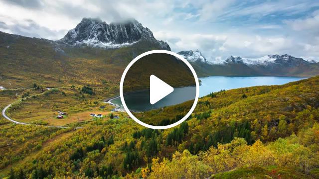 Softy autumn morning, softy, chill, lo fi, chillhop, music, chill music, lo fi music, chillhop music, nature and travels, senja island northern, autumn, nature travel. #0