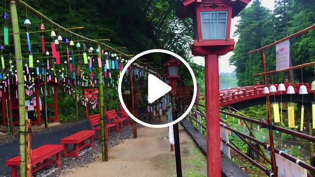 Traditional japan, traditional instrument, japan, nikko, trip, relax, gif, nature travel. #0