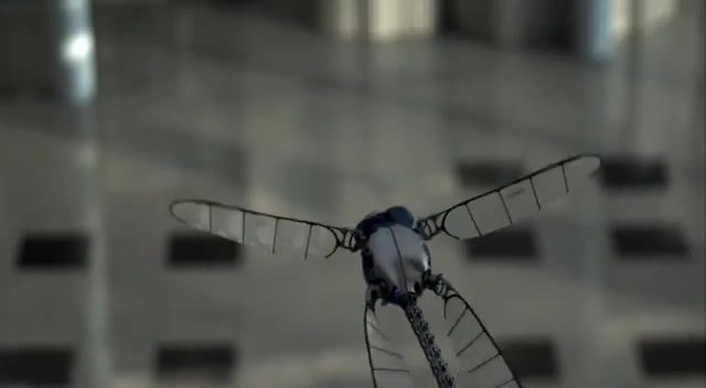 Robotic dragonfly, science technology.