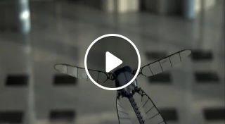 Robotic dragonfly