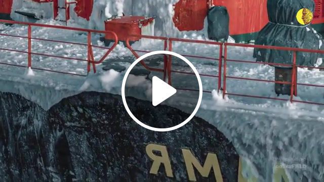 Yamal, icebreaker, yamal, iceberg, rammstein, rosenrot, ice, bear, snow, power, science technology. #0