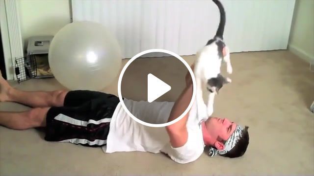 Workout, cats, big cats, try not to laugh, cat compilation, funny, cat, compilation, cats big and small are always funny, funny cat compilation, best cats, funniest cats, funny cats, so funny you will die laughing, so funny, funny cats compilation, tiger, the funniest most humorous cat, cats are simply the funniest, all cats are super cute, sports. #0