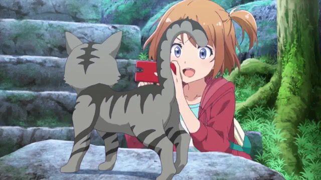 Cool for cats - Video & GIFs | anime,anime school b,ignore c,between the sky and the sea