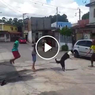 Dog plays jump rope with kids