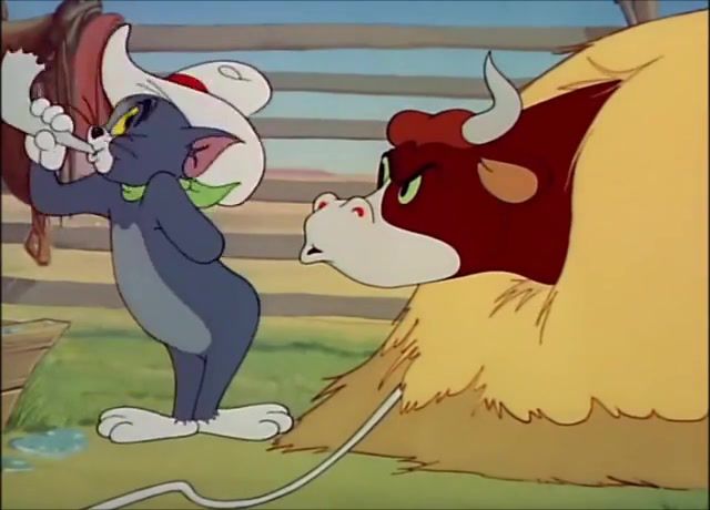 Tom and jerry, 49 episode texas tom, animated cartoon, animation, cartoon, texas tom, tom and jerry, cartoons.