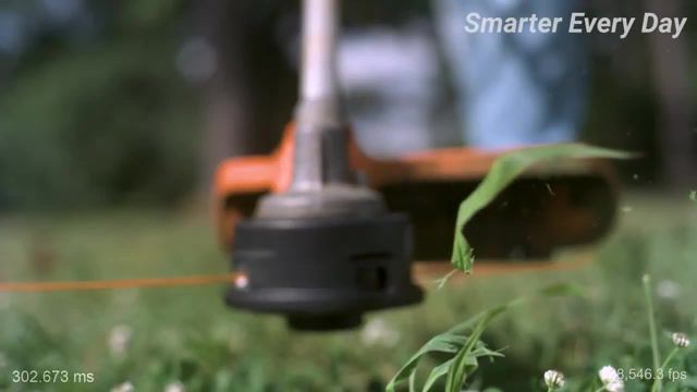 Cutting a Gr in 28000 FPS, Smarter, Every, Day, Science, Physics, Destin, Sandlin, Education, Math, Smarter Every Day, Experiment, Nature, Demonstration, Slow, Motion, Slow Motion, Science Education, What Is Science, Physics Of, Projects, Experiments, Science Projects, Weedeater, String Trimmer, Weed Eater, Weed, Eater, Mower, Gr, Lawncare, How Do, Engineering, How To, Poulan, Husqvarna, Science Technology
