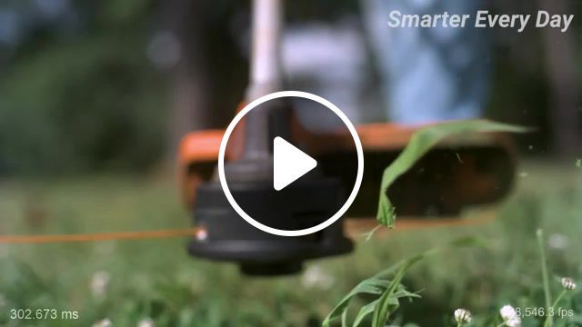Cutting a gr in 28000 fps, smarter, every, day, science, physics, destin, sandlin, education, math, smarter every day, experiment, nature, demonstration, slow, motion, slow motion, science education, what is science, physics of, projects, experiments, science projects, weedeater, string trimmer, weed eater, weed, eater, mower, gr, lawncare, how do, engineering, how to, poulan, husqvarna, science technology. #0