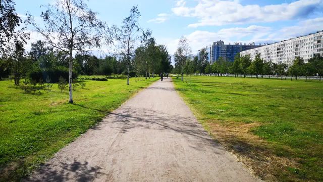 Endless Run, Timelapse, Running, Park, Nature Travel