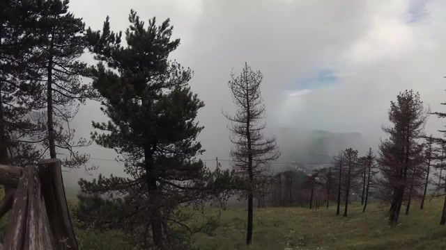 Mountain fog - Video & GIFs | mountain,fog,italy,forest,travel,nature travel