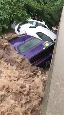 Purple car, major malfunction, purple, car, flood, nature travel.