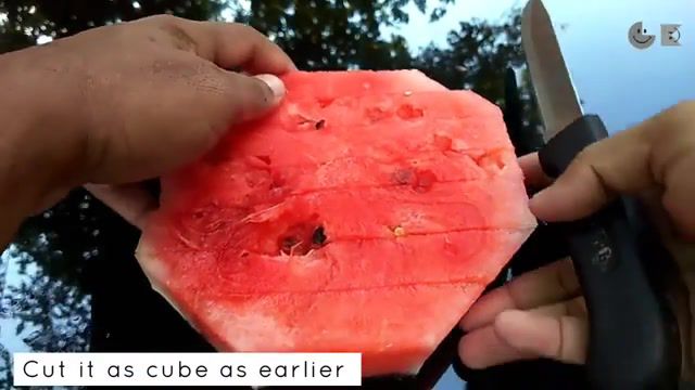 What we can do with 6kg water melon summer hacks gundubulbu30, watermelon, summer hacks, fruit hacks, melon, water, gundu bulbu, gundubulbu, watermelon juice recipe, summer juice, watermelon recipe, nature travel.