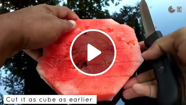 What we can do with 6kg water melon summer hacks gundubulbu30, watermelon, summer hacks, fruit hacks, melon, water, gundu bulbu, gundubulbu, watermelon juice recipe, summer juice, watermelon recipe, nature travel. #0