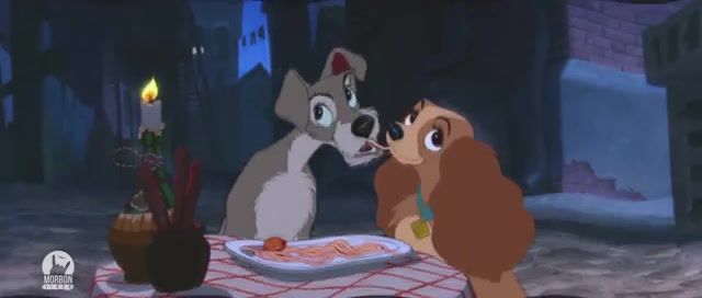 Birds and the tramp, Birds Of Prey, Trailer Battle, Lady And The Tramp, Mashup