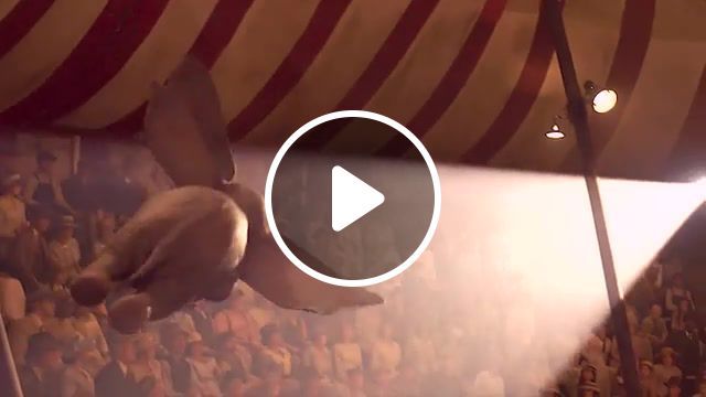 Flying elephant, dumbo, trailerbattle, madagascar 3, the greatest show, mashup. #0