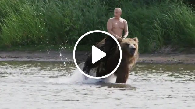 Meeting on the river, mashup, hybrid, putin, bear, river, girls. #0