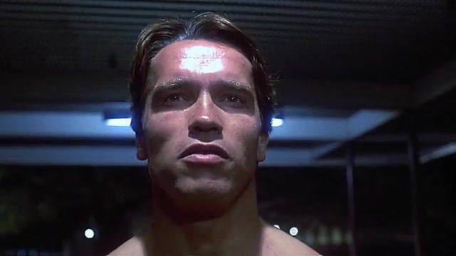 Night for a walk, Mashup, Hybrid, Terminator, Keanu Reeves, Arnold Schwarzenegger, Bad To The Bone, Bill And Ted's Excellent Adventure, Night Out