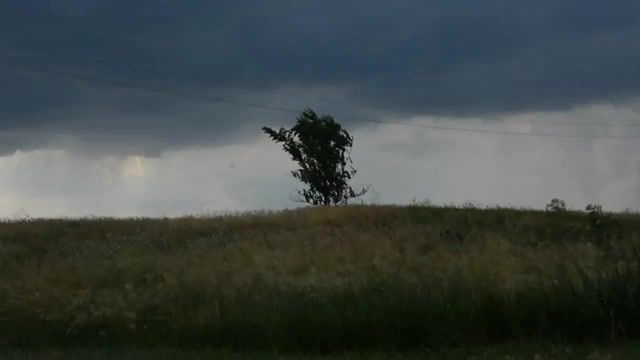 A tree in a storm, Nature Travel