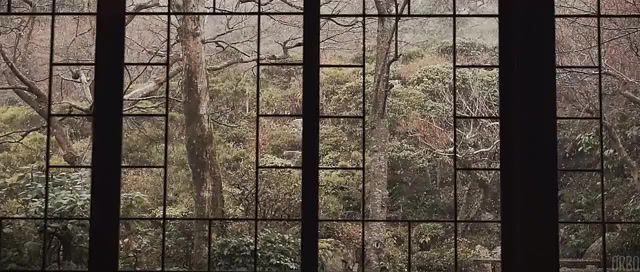 A window on winter in Japan, Eleprimer, Weather, Fall, Snow, Orbo, Cinemagraphs, Cinemagraph, Live Pictures