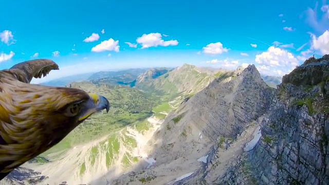 Eagle's Eyes in the Alps, Pov, Breathtaking Flying, Alps, Eagle, Nature Travel